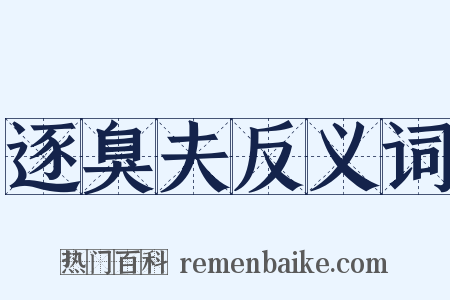 逐臭夫反义词是什么意思的图片